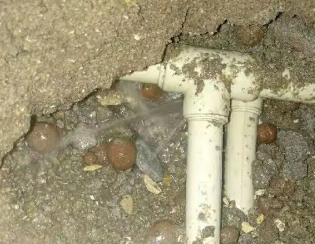 博爱卫生间测漏