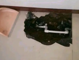 博爱卫生间测漏水多少钱